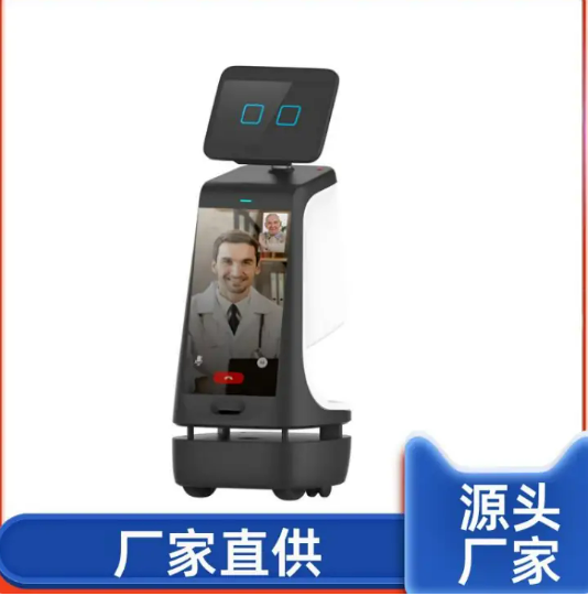 AI-powered remote-controlled personal care robot available in multiple stylish designs.